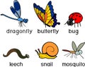 Set of cartoon invertebrate animals dragonfly, leech, snail, mosquito, butterfly and beetle isolated on white